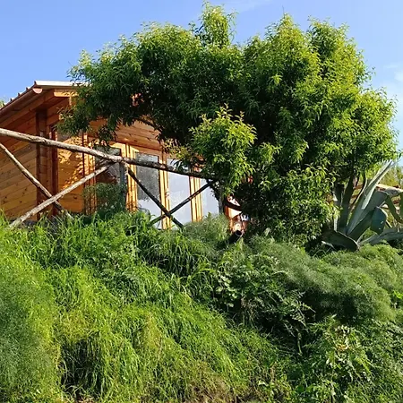 Cinque Tomoli Ventotene